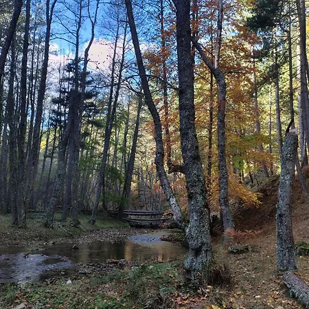 Apartment La Casa In Sila Di Romeo E Zietta *