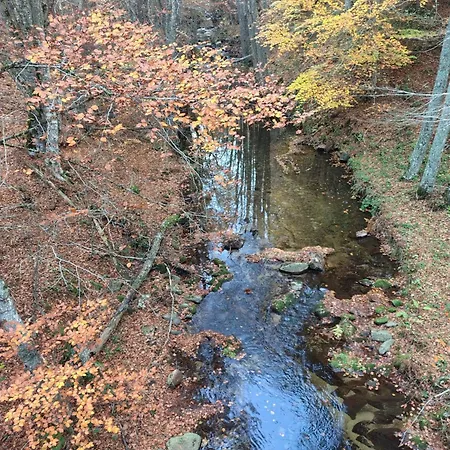 La Casa In Sila Di Romeo E Zietta Serrisi
