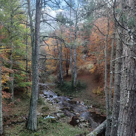 La Casa In Sila Di Romeo E Zietta * Serrisi